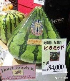 中柬吃瓜群众,揭秘娱乐圈最新热点事件